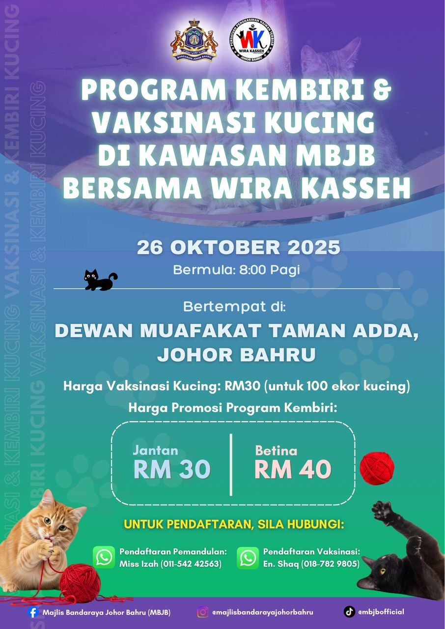 Kembiri dan vaksinasi kucing