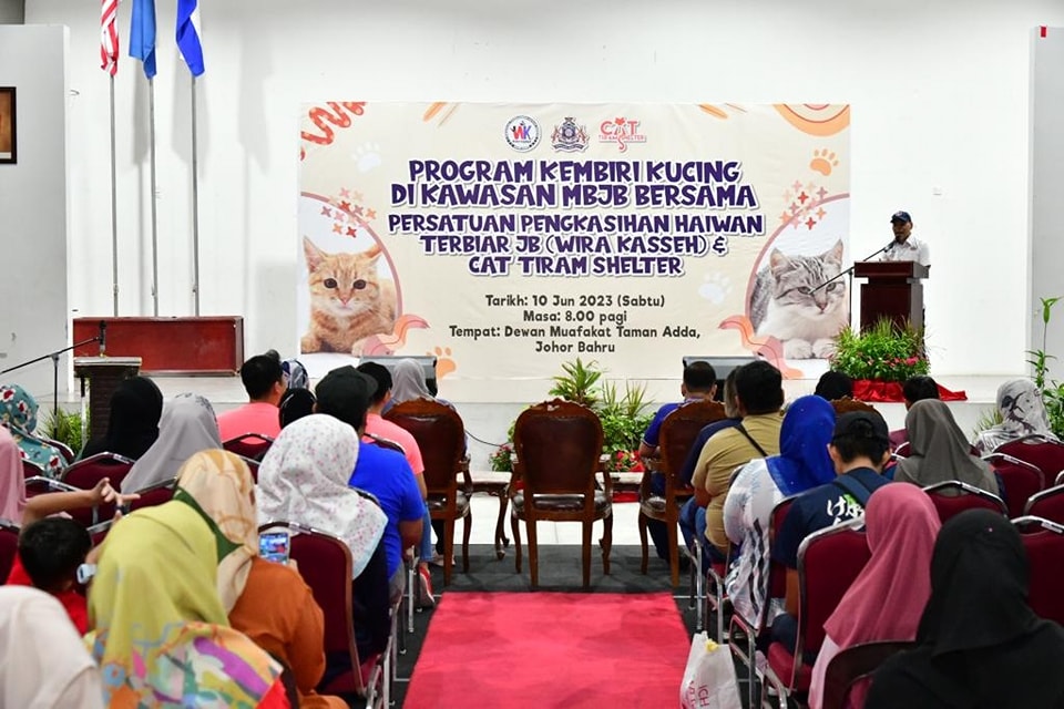 Program Kembiri Kucing